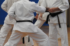 DSCN0186