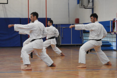 DSCN0197