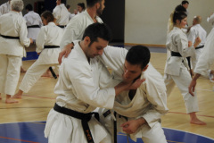 DSCN0323