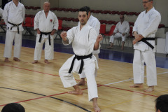 DSCN0332