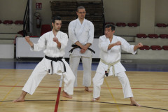 DSCN0334