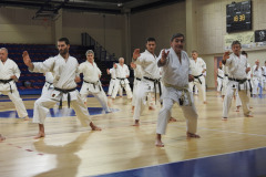 DSCN0365