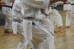 DSCN0369
