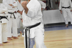 DSCN0375